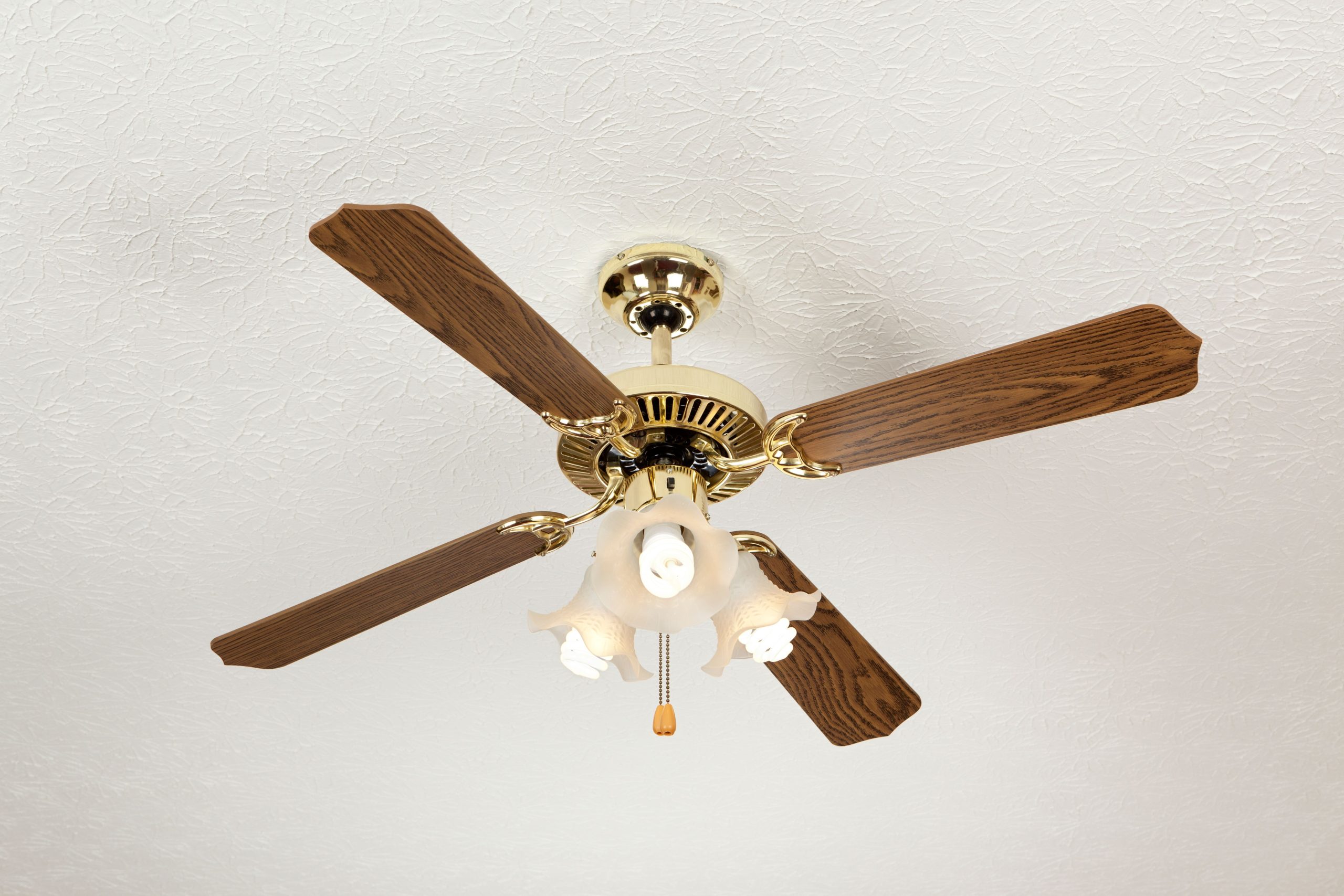 Understanding what affects ceiling fan repair cost will help you prepare for your investment in advance. 